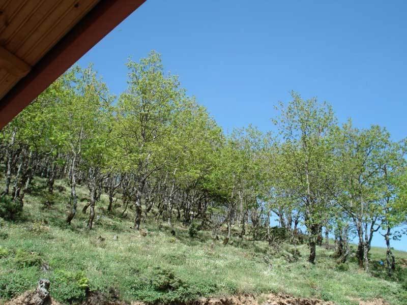 Ξενώνας Ίριδα Μπελοκομίτι Εξωτερικό φωτογραφία